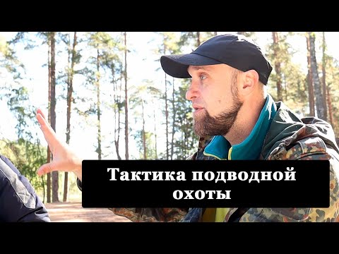 Видео: Тактика подводной охоты