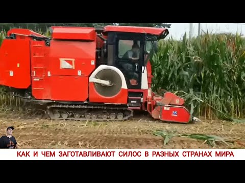 Видео: КАК И ЧЕМ ЗАГОТАВЛИВАЮТ СИЛОС В РАЗНЫХ СТРАНАХ МИРА /SILOS PRODUCTION IN DIFFERENT COUNTRIES