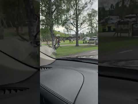 Видео: ОЧЕНЬ ДРУЖЕЛЮБНЫЕ ОЛЕНИ ПРЯМО В ГОРОДЕ.  НОРВЕГИЯ.
