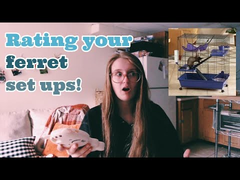 Видео: РЕАКЦИЯ НА УСТАНОВКИ АПОНЕНТА «ХОРЬКА»