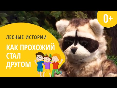 Видео: Как прохожий стал другом | Лесные истории