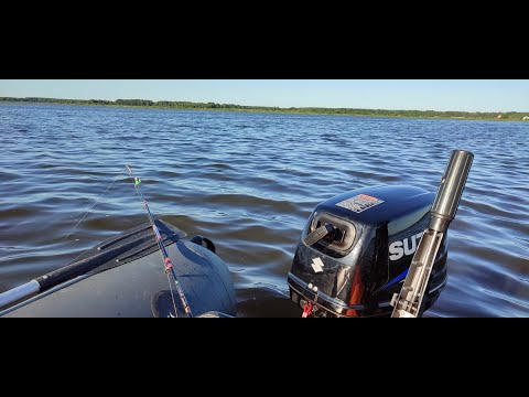 Видео: Рыбалка на Волге с лодки. Кольцо донки. 14.07.22.