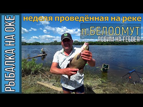 Видео: Рыбалка на Оке в р-не Белоомута, фидер, неделя на реке 27.08.-03.09.2020г.