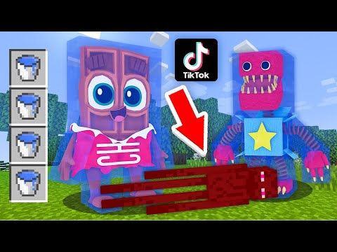 Видео: 😱 Я Проверил 12 Самых *ВИРУСНЫХ* Лайфхаков БОКСИ БУ из ТИК ТОКА в Майнкрафт ! ЧОКО