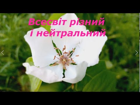 Видео: Всесвіт різний і нейтральний