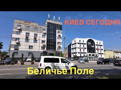 Видео: 10.07.2024, Подольский район, массив Беличье Поле