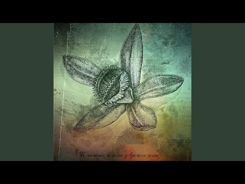 Видео: Осень