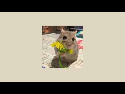 Видео: ⭐комфортный speed up плейлист с популярными песнями 2024!!⭐