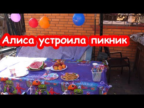 Видео: VLOG Самая лучшая компания