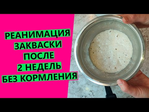 Видео: РЕАНИМАЦИЯ 🤷‍♀️пшеничной закваски после 2 недель БЕЗ кормления