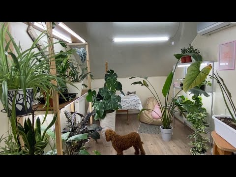 Видео: Посмотрим, что произошло?