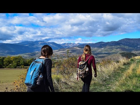 Видео: Четвертая международная конференция по полевой лингвистике 30.11.2024