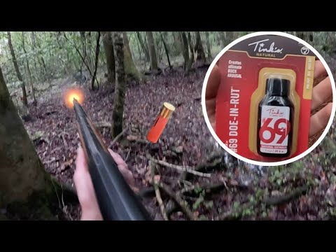 Видео: Я использовал мочу лани во время охоты на оленя с собаками!! | Убил оленя!!