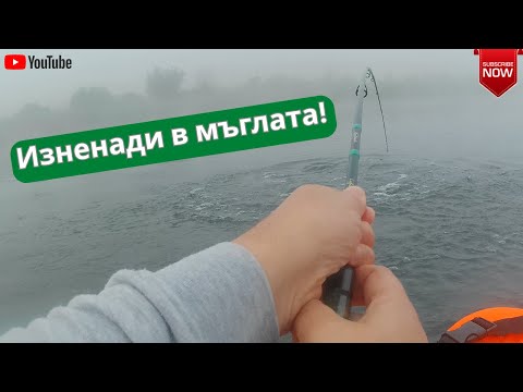 Видео: Страхотни изненади в мъглата!
