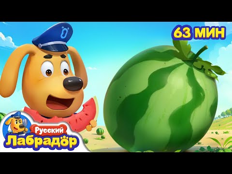 Видео: 🍉У меня в животе растет арбуз | Правила Безопасности | 🔍Сборник мультиков для детей | Шериф Лабрадор