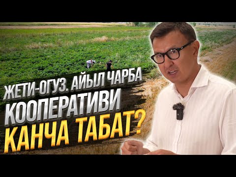 Видео: ДАРЫ ЧӨП өстүрүп ДЫЙКАНДАР 3,5 ГА Жерден КАНЧА ТАБЫШАТ? / Жети-Өгүз, Ысык-Көл Облусу