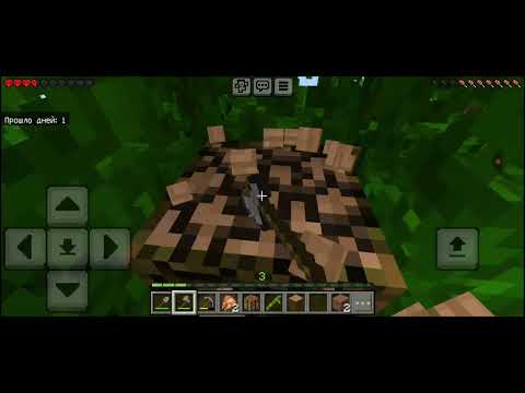 Видео: Маенкравт. :) 2 часть