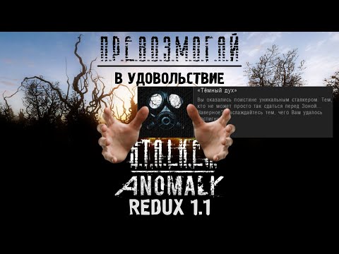 Видео: КАК МЕНЬШЕ ПОГИБАТЬ В S.T.A.L.K.E.R ANOMALY REDUX 1.1