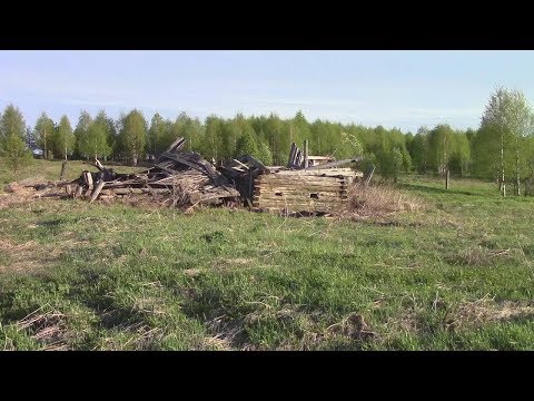 Видео: Дом лесника и кукурузное поле/ Fisher F44/ Teknetics T2
