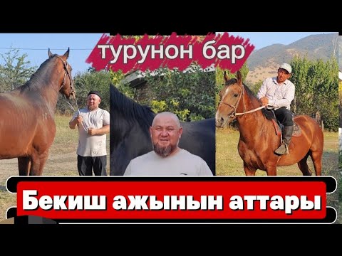 Видео: Бекиш ажынын аттары