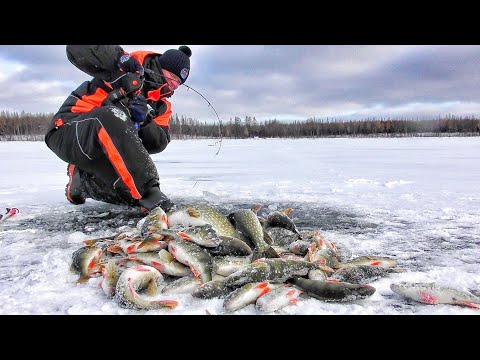 Видео: БЕЗУМИЕ НАЧИНАЕТСЯ😱!!! ПЕРВЫЙ ЛЁД 2025-2026г.