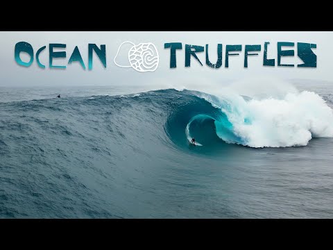 Видео: Ocean Truffles — с участием Дэриана Шефферса