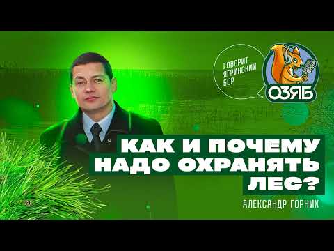 Видео: Кто охраняет лес? Александр Горних - руководитель Северного управления Росприроднадзора