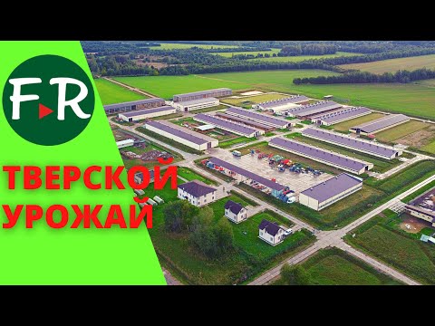 Видео: Суффолк, Ост-фризские, Романовские овцы. Зааненские, Альпийские, Тоггенбургские козы Тверской Урожай