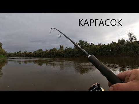 Видео: Каргасок. Томская область| 21-22.08.23| Рыбалка по большой воде...