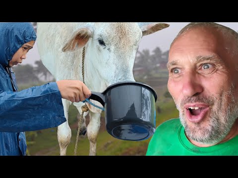 Видео: Опять тайфун | Залило батин домик | Жизнь в деревне с филиппинкой
