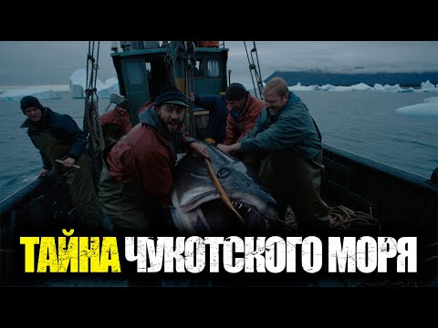 Видео: ТАЙНА ЧУКОТСКОГО ПОБЕРЕЖЬЯ: В 1953‑М РЫБАКИ ВСТРЕТИЛИСЬ С МОРСКИМ ЧУДОВИЩЕМ
