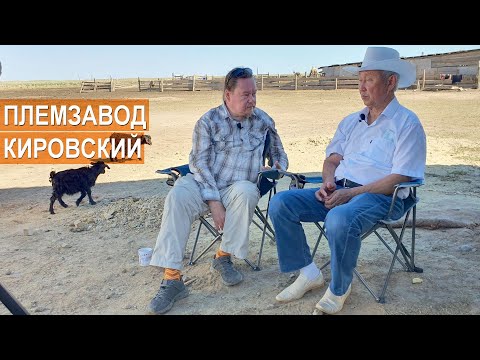 Видео: Племенной завод Кировский. Республика Калмыкия, рассказ о хозяйстве.