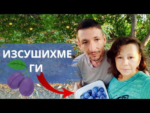 Видео: Бързо и лесно си сушим плодове на село за зимата | Живот на село | Боби и Катето