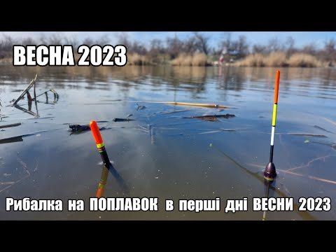 Видео: Рибалка на ПОПЛАВОК в перші дні ВЕСНИ 2023. Ловля на ПОПЛАВОЧНУЮ УДОЧКУ ранньою ВЕСНОЮ. Дністер.