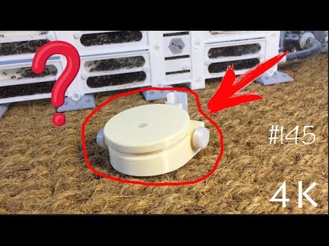 Видео: 🐜 Так что же это такое? Зачем и для чего? 🐜