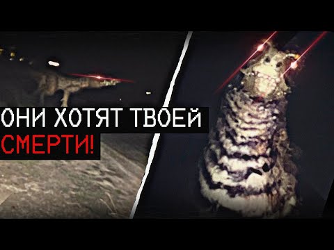 Видео: ВОССТАНИЕ РЕПТИЛИЙ | Weird Birds part.2