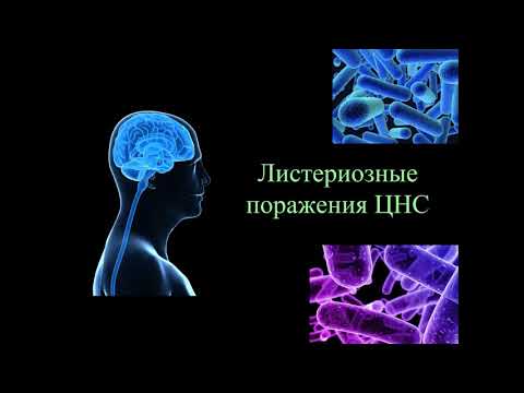 Видео: Листериоз: эпидемиология, ключевые клинические формы, диагностика и лечение
