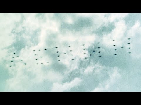 Видео: Самолеты ЯК в Домодедово, 1967