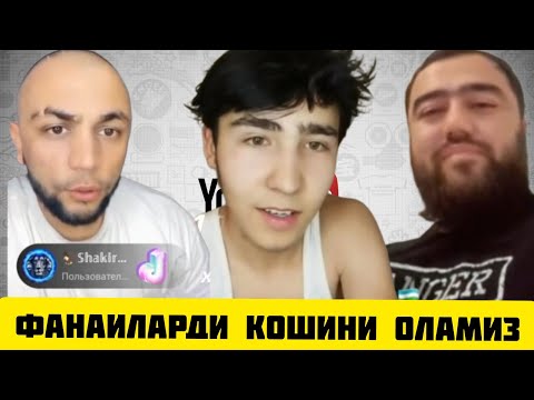 Видео: ТИК ТОКЕР САРДОР ФАНАТИНИ КОШИНИ ОДИРИП ТАШАДИ