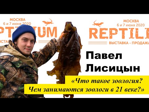 Видео: REPTILIUM 2020. Павел Лисицын «Что такое зоология? Чем занимаются зоологи в 21 веке?»