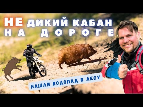 Видео: Снова в лес! | Проедет ли bmw f1200gs на лысой резине? | Эндуро на шоссейнике