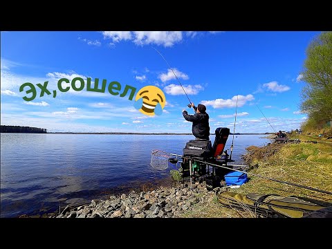 Видео: Фидерная рыбалка весной. Удомля радует обилием рыбы! fishing feeder