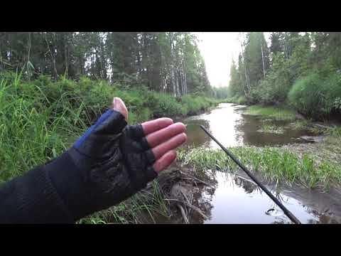 Видео: ИК № 34 ЗАПРЕТНАЯ ЗОНА СТРОГОГО РЕЖИМА ВРЕМЕН СССР,,, Я ЕЩЕ ВЕРНУСЬ!!!