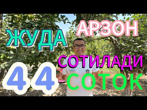 Видео: РОСА АРЗОН УЙ 44-СОТОКЛИ УЙ-ЖОЙ ХОНАДОН КАТТА БОГИ БИЛАН СОТИЛАДИ.