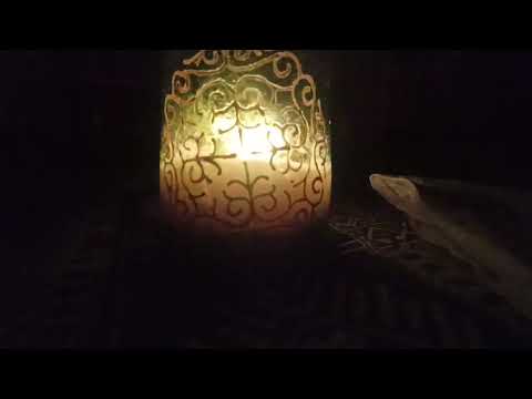 Видео: 28.01.Таң. Құлақ жарғағына шипа, мойын омыртқа суықтауына дем, шикіліктен алас