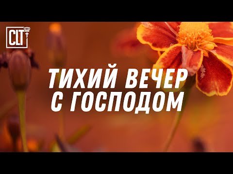 Видео: Я Господь, Бог твой, говорю тебе: «Не бойся, Я помогаю тебе!» | С музыкой и без — смотри тайм-коды