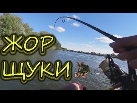 Видео: Попали на жор щуки - Рыбалка на реке Томь июнь 2022