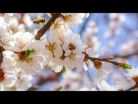 Видео: Всем привет от Романа.