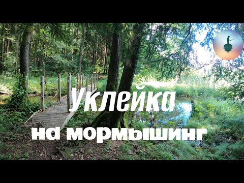 Видео: 2024.08.07 уклейка на мормышинг.