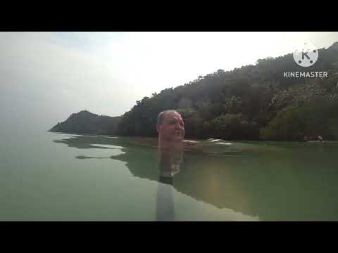 Видео: 31 октября 2025 г.